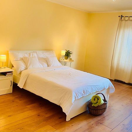 Sunny Attic Apartment Zvolen Εξωτερικό φωτογραφία